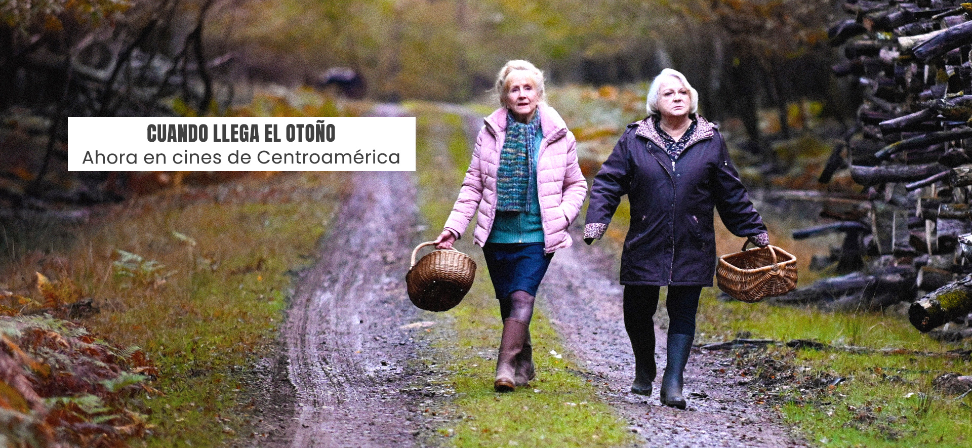 Cuando llega el otoño