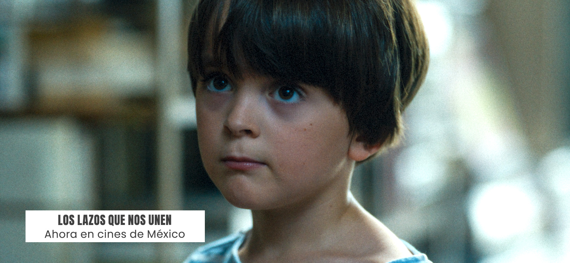 Los lazos que nos unen