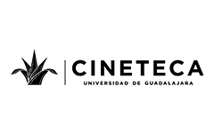 Cineteca FICG